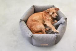 MiaCara Felice Hondenmand Ø60 Small Anthracite -Flos Winkel x886x886 miacara felice hondenmand large2.jpg.pagespeed.ic .s88Yfm XQC