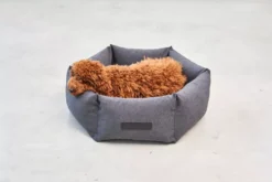 MiaCara Felice Hondenmand Ø60 Small Anthracite -Flos Winkel x886x886 miacara felice hondenmand large5.jpg.pagespeed.ic .dqAwJt zBK