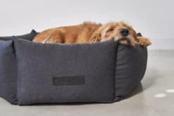 MiaCara Felice Hondenmand Ø80 Medium Anthracite -Flos Winkel x886x886 miacara felice hondenmand large9.jpg.pagespeed.ic .0LZ2tOuOYV 1