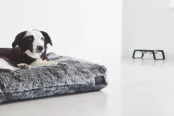 MiaCara Felpa Hondenkussen L -Flos Winkel x886x886 miacara felpa hondenkussen m2.jpg.pagespeed.ic .48C9so2noQ