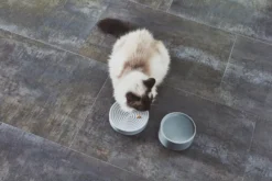 MiaCara Piatto Kattenvoerbak Ø16 Berry 13 MiaCara Piatto Kattenvoerbak Ø16 Berry -Flos Winkel x886x886 miacara fresco kattenvoerbak13.jpg.pagespeed.ic .YHFGgtlqrS 1