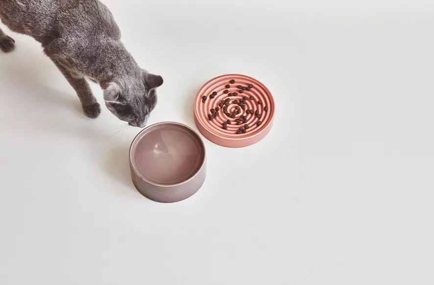 MiaCara Piatto Kattenvoerbak Ø16 Berry 6 MiaCara Piatto Kattenvoerbak Ø16 Berry - Afbeelding 6