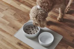 MiaCara Lento Hondenvoerbak Inzetstuk Large Slate -Flos Winkel x886x886 miacara lento hondenvoerbak inzetstuk large2.jpg.pagespeed.ic .kl9hHNbIw3 1