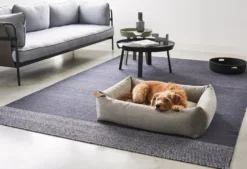 MiaCara Mare Hondenmand Small Kelp -Flos Winkel x886x886 miacara mare hondenmand small2.jpg.pagespeed.ic .2vIqdd9l4D 2