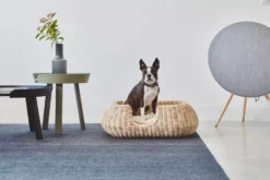 MiaCara Mio Hondenmand Small Anthracite -Flos Winkel x886x886 miacara mio hondenmand small1.jpg.pagespeed.ic .yKKqE8BR2u