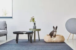 MiaCara Mio Hondenmand Small Anthracite -Flos Winkel x886x886 miacara mio hondenmand small2.jpg.pagespeed.ic .mSItWYhWlV