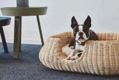 MiaCara Mio Hondenmand Small Anthracite -Flos Winkel x886x886 miacara mio hondenmand small4.jpg.pagespeed.ic .3aUbSdiIe6