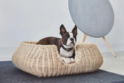 MiaCara Mio Hondenmand Small Anthracite -Flos Winkel x886x886 miacara mio hondenmand small5.jpg.pagespeed.ic .d 1F9YHrJR