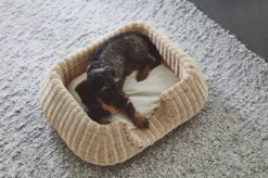 MiaCara Mio Hondenmand Small Anthracite -Flos Winkel x886x886 miacara mio hondenmand small7.jpg.pagespeed.ic .Xqnclb7Bzs