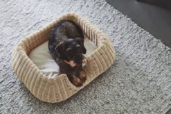 MiaCara Mio Hondenmand Small Anthracite -Flos Winkel x886x886 miacara mio hondenmand small8.jpg.pagespeed.ic .cuiQbLjkMo