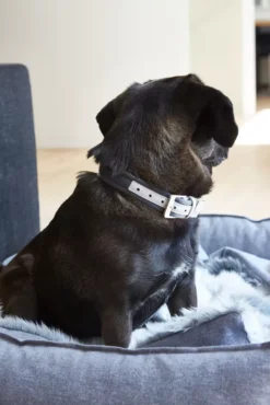 MiaCara Nube Hondenmand Small Tabacco -Flos Winkel x886x886 miacara nube hondenmand small21.jpg.pagespeed.ic .flBGihibq1 2