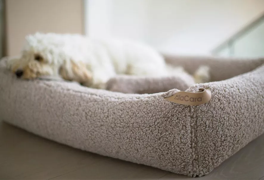 MiaCara Senso Hondenmand Large Greige 3 MiaCara Senso Hondenmand Large Greige - Afbeelding 3