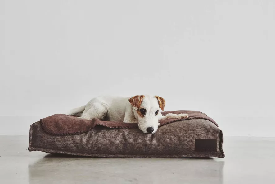 MiaCara Divo Hondenkussen Medium Mocca 7 MiaCara Divo Hondenkussen Medium Mocca - Afbeelding 7