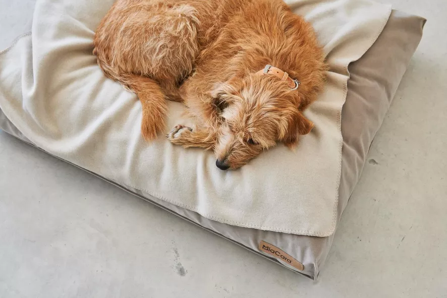 MiaCara Velluto Hondenkussen Large Nude 3 MiaCara Velluto Hondenkussen Large Nude - Afbeelding 3