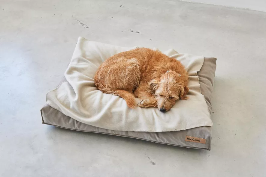 MiaCara Velluto Hondenkussen Large Nude 5 MiaCara Velluto Hondenkussen Large Nude - Afbeelding 5