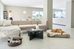 MiaCara Velluto Hondenkussen Medium Greige -Flos Winkel x886x886 miacara velluto hondenkussen large9.jpg.pagespeed.ic .E2vZno4X n 1