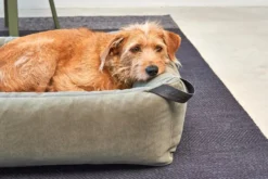 MiaCara Velluto Hondenmand Large Greige -Flos Winkel x886x886 miacara velluto hondenmand large6.jpg.pagespeed.ic .aXN3H 21OY 2