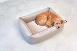 MiaCara Velluto Hondenmand Medium Sage -Flos Winkel x886x886 miacara velluto hondenmand large9.jpg.pagespeed.ic .IA9vkAoJ5d 1