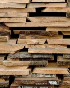 Muuto The Dots Haak 6.5cm Dark Green -Flos Winkel x886x886 muuto the dots haak 5 stuks9.jpg.pagespeed.ic .FkPhnSvlLT