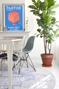 Pastoe SM05 Stoel Zwart Met Zitkussen Steelcut Trio 124 -Flos Winkel x886x886 myflinders eetkamer vitra eames dsr stoel hay j77 stoel pastoe sm05 stoel met zitkussen.jpg.pagespeed.ic .FIH3ReiB3m