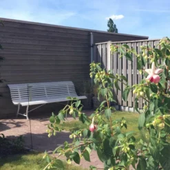 Fermob Louisiane Tuinbank 150 Anthracite -Flos Winkel x886x886 myflinders tuin fermob louisiane bank 200.jpg.pagespeed.ic .JwmbSzmdLG