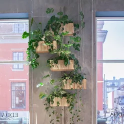 Squarely Copenhagen GrowWIDE Balkon Plantenbak, Natural Ash, Fabric Groen 48cm -Flos Winkel x886x886 squarely growwide balkon plantenbak incl reservoir 60x22 natural ash7.jpg.pagespeed.ic .wXqqAvXXgD