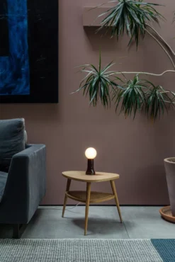 Tala LED Shore Tafellamp Bottle Brown 25 Tala LED Shore Tafellamp Bottle Brown -Flos Winkel x886x886 tala led shore tafellamp7.jpg.pagespeed.ic .S6 RogVPpR